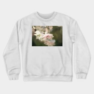 Pretty pink petals Crewneck Sweatshirt